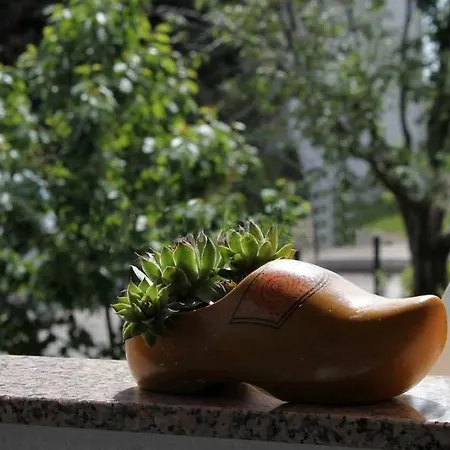 Suzy With Private Parking Apartament