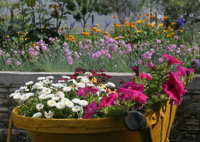 Daire Suzy With Private Parking